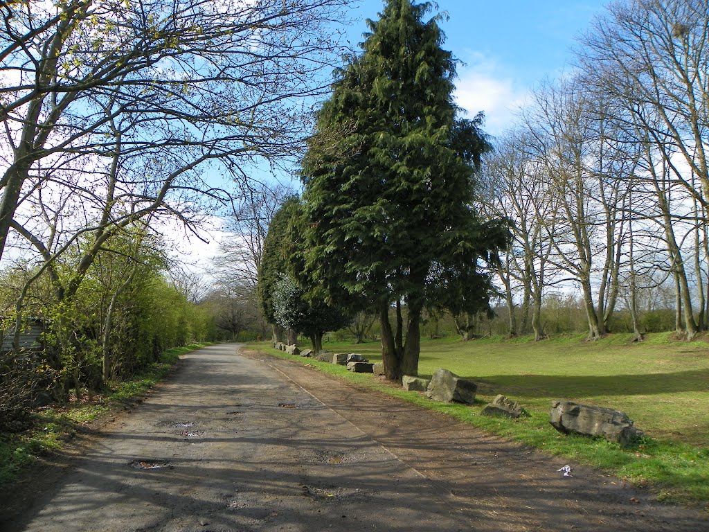 willington co. durham