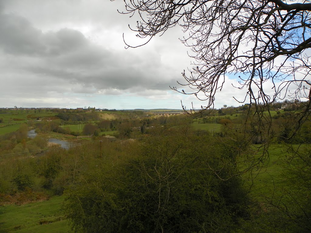 willington co. durham