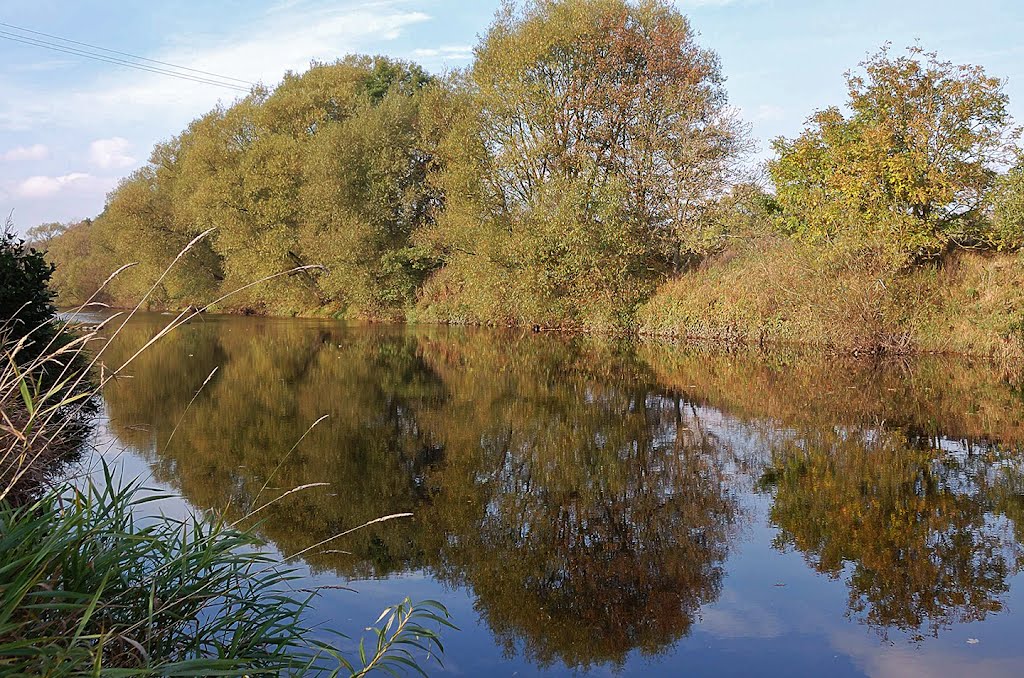 River Wear near Escomb