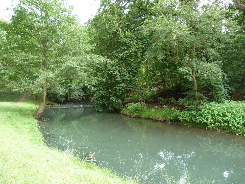 River Gaunless, Bishop Auckland