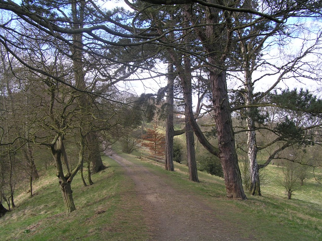 A path through the Bishops Park