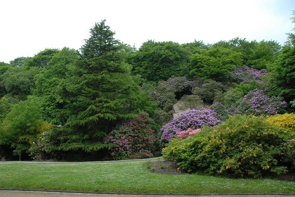 Broad Walk 2