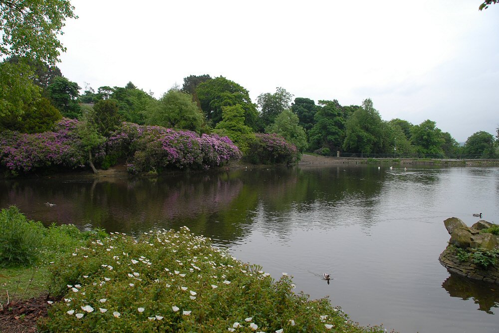 Lake 1