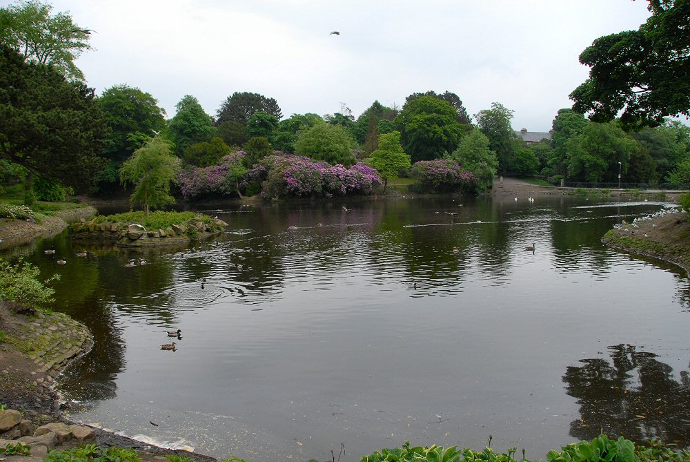 Lake 2