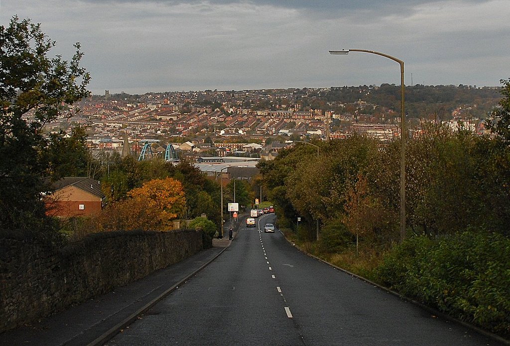Brandy House Brow