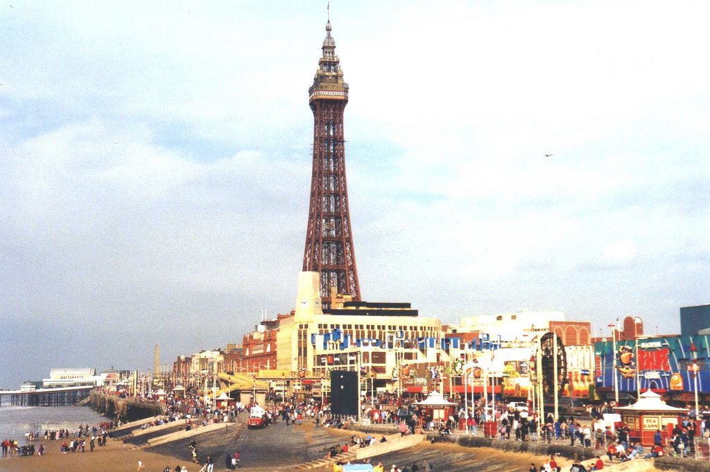 A LOOK ALONG THE BEACH