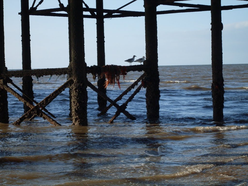 Birds and old pier.