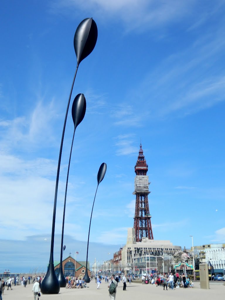 Blackpool Tower and Dune Grass Sculptors...