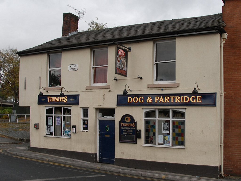 Dog and Partridge