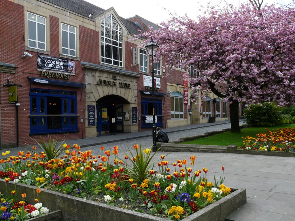 Spring In The Square