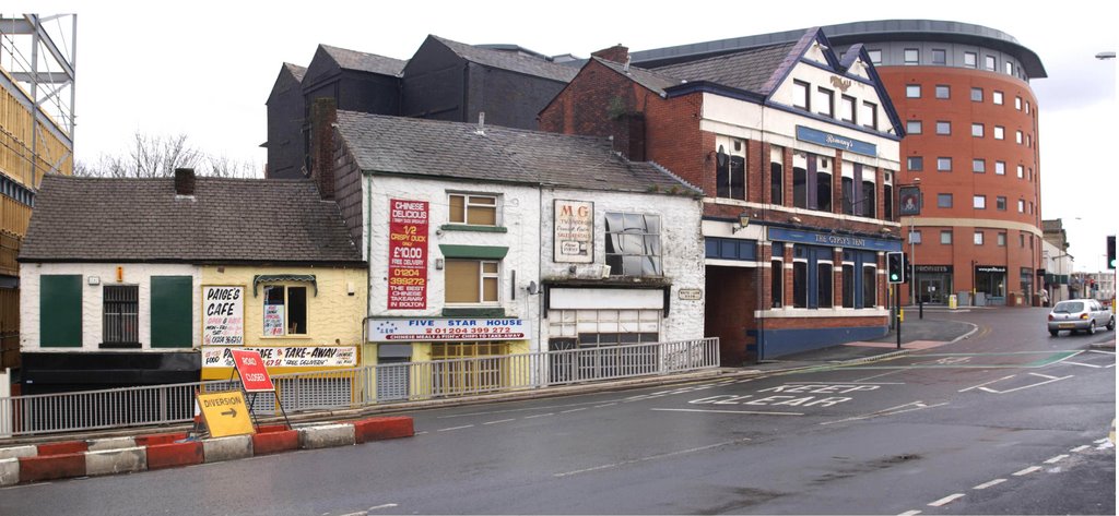 white lion brow