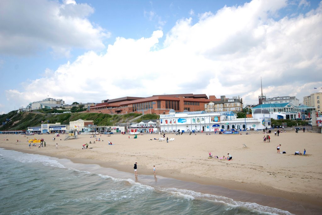 The BIC from The Pier