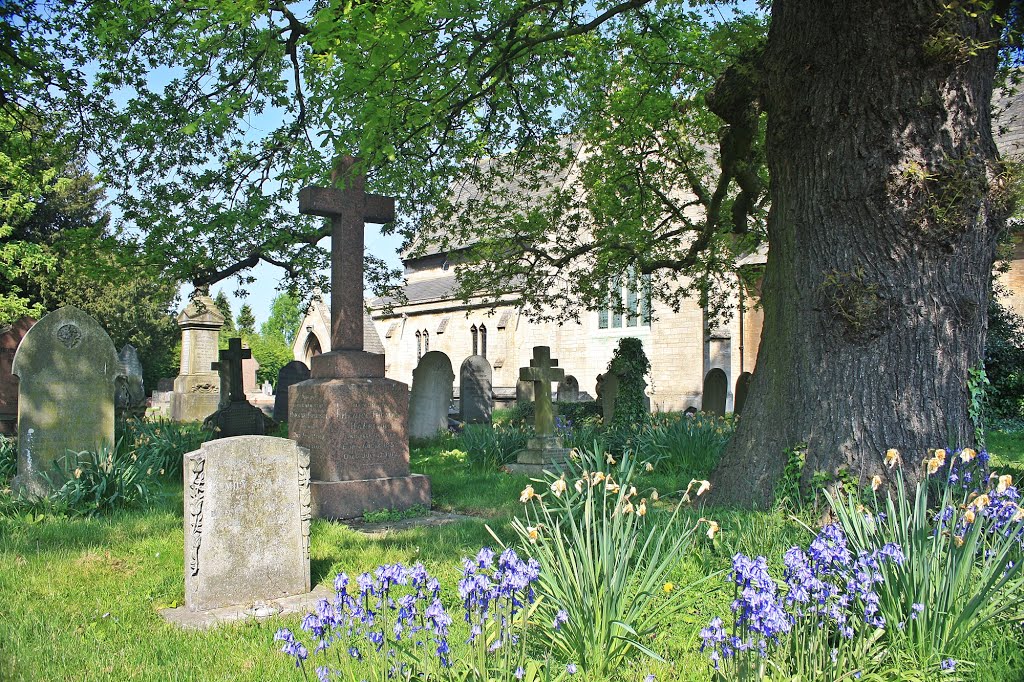 Holy Trinity churchyard ~ Boston ~ Lincolnshire
