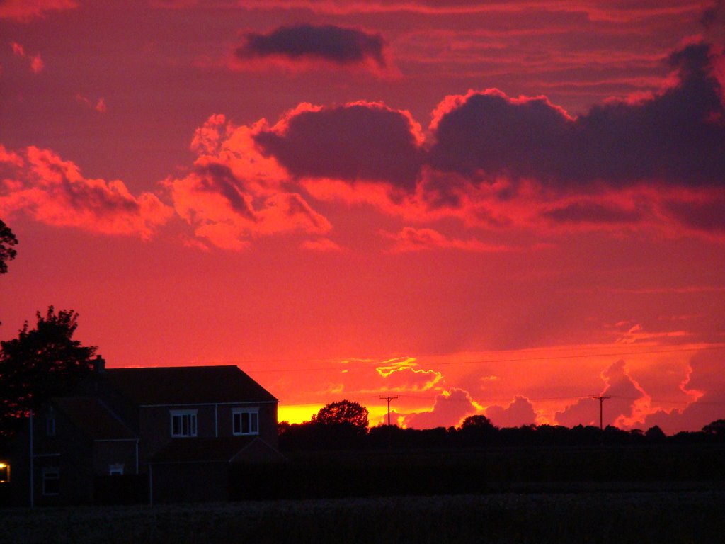 ricks sunset