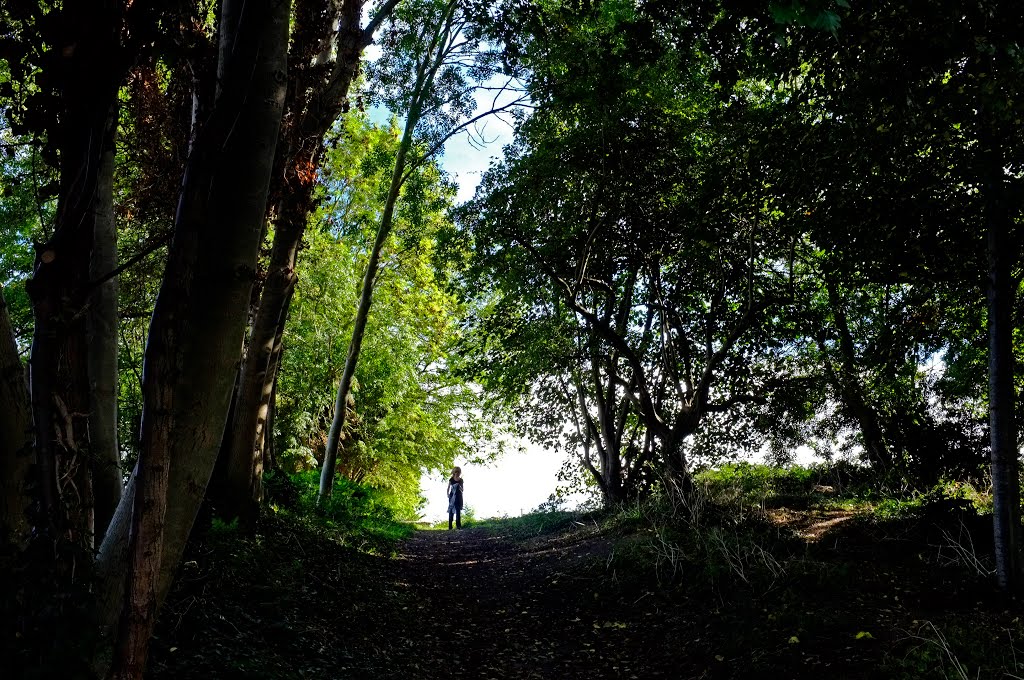 Kennet Garden Path