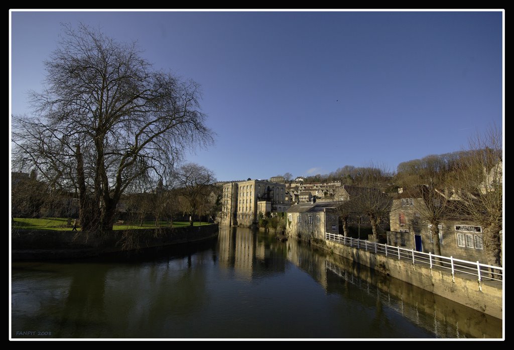 reflections on AVON