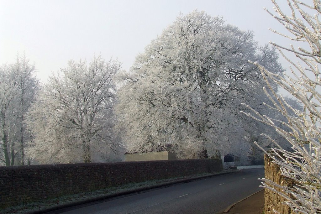 Freezing Fog near Bradford On Avon