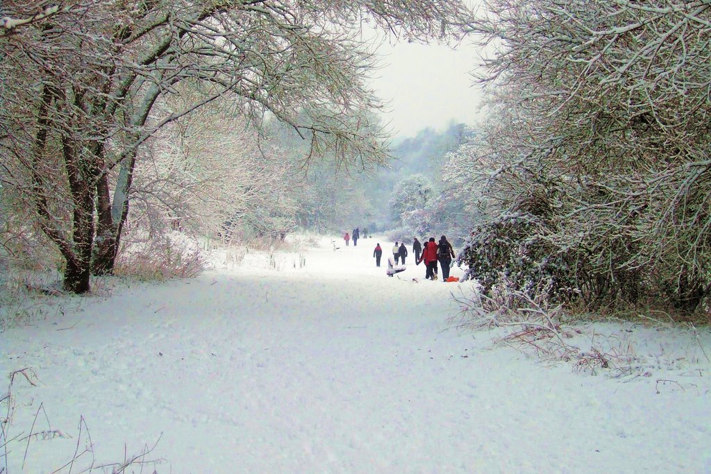 River Walk looking west - Bradford On Avon