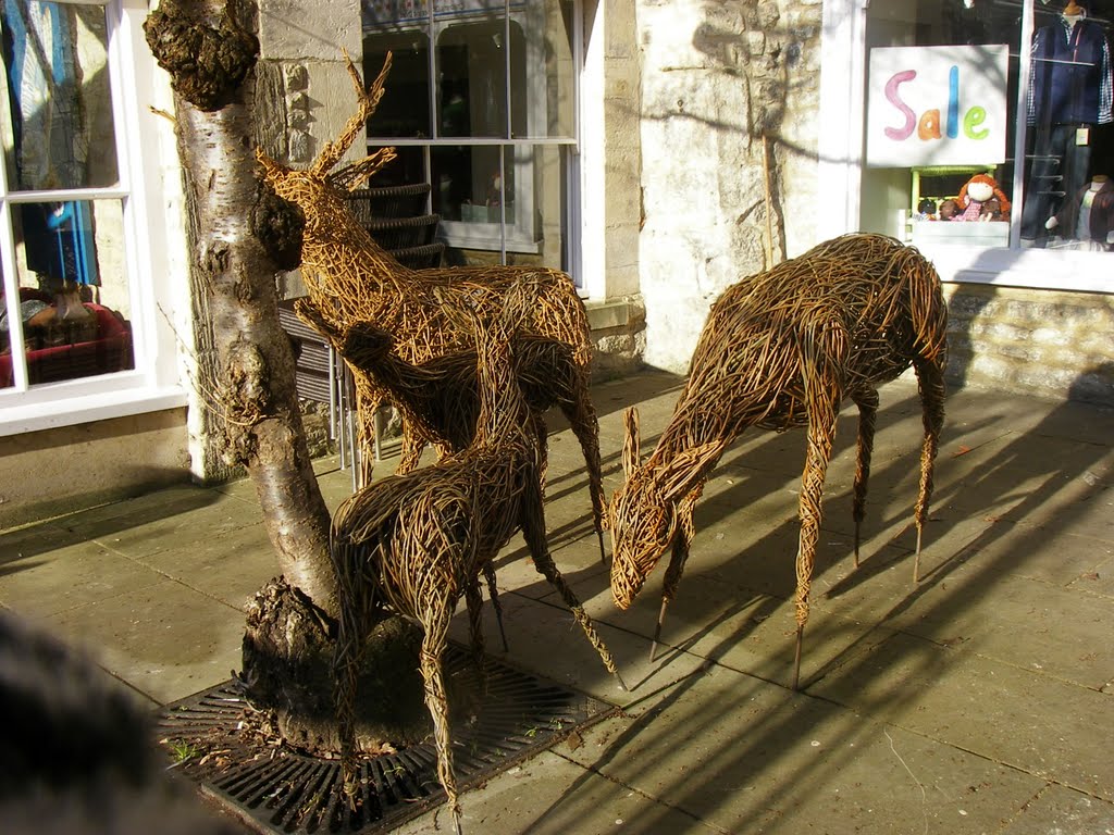 Willow deer.
