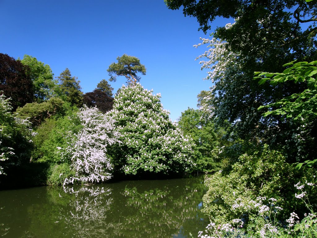 River Avon In Spring