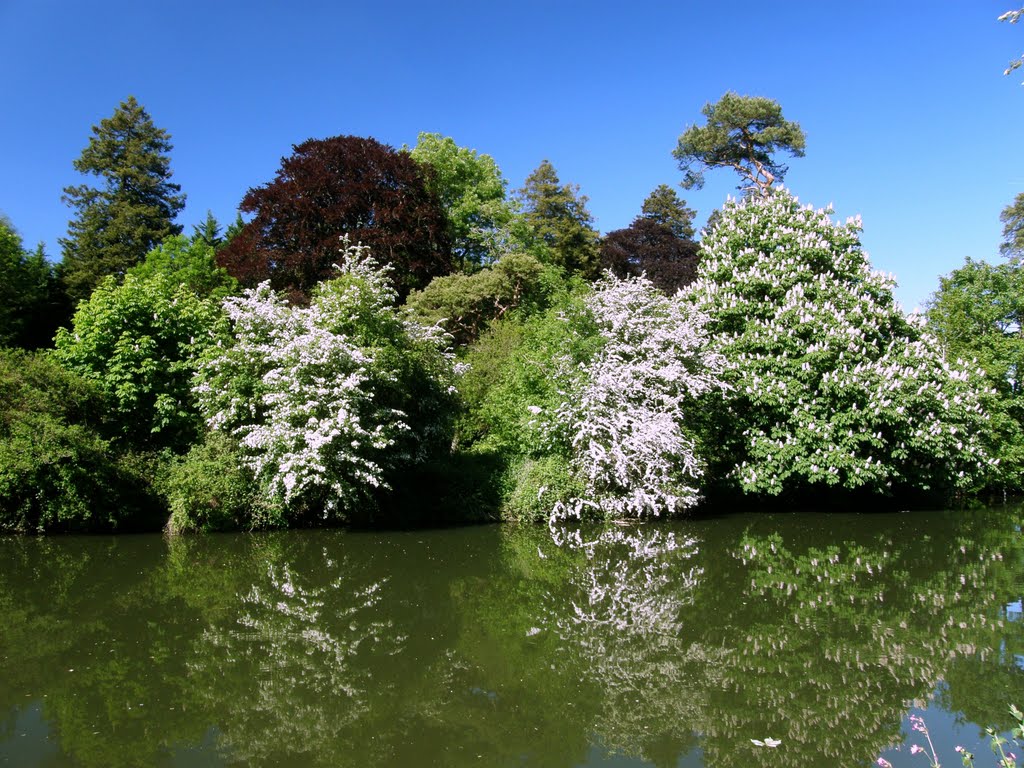 The River Avon In Spring