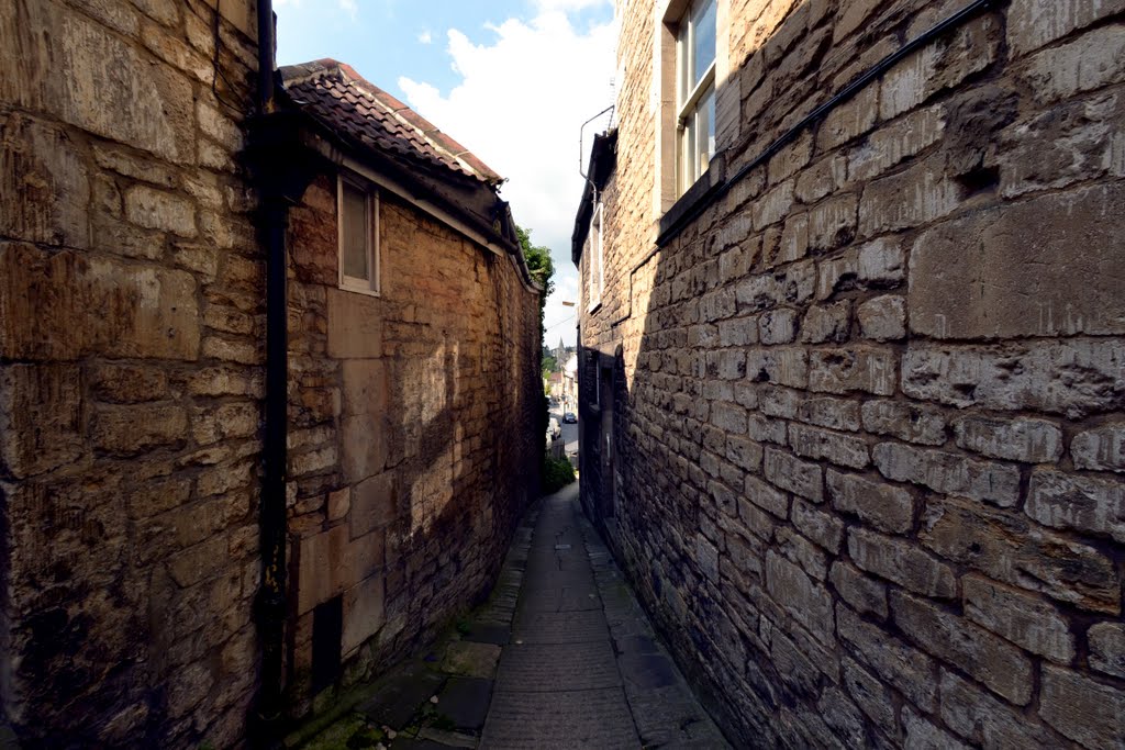 the narrow way