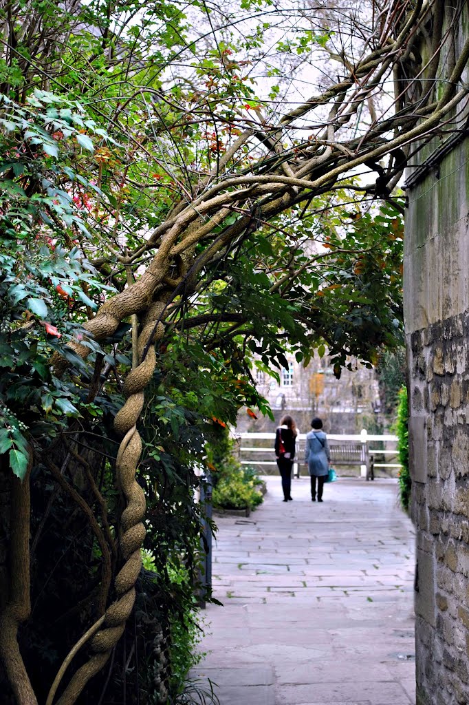 Under the arches.