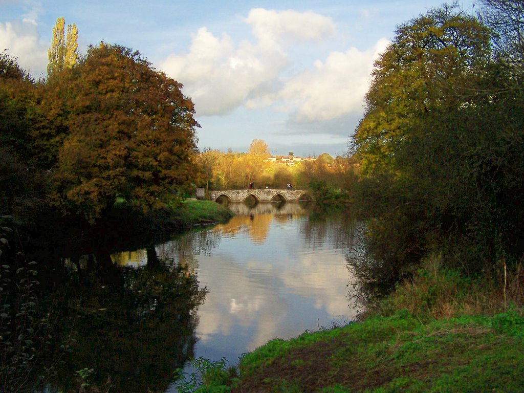 River Avon at Bradford-on-Avon