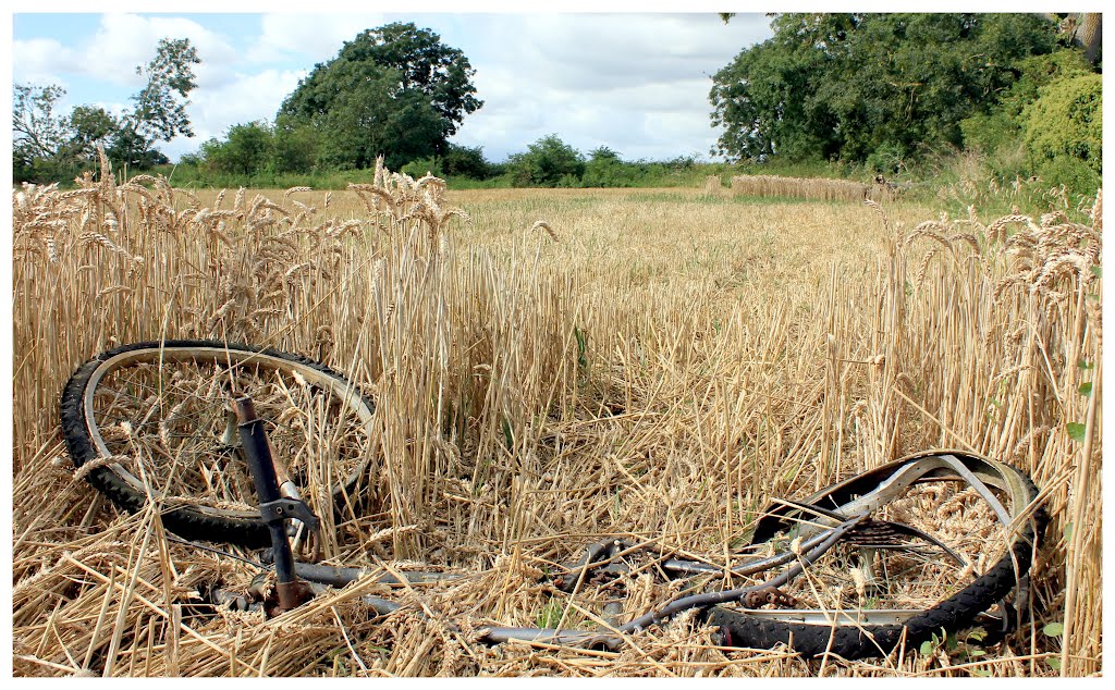 Now where did I park my bike?....