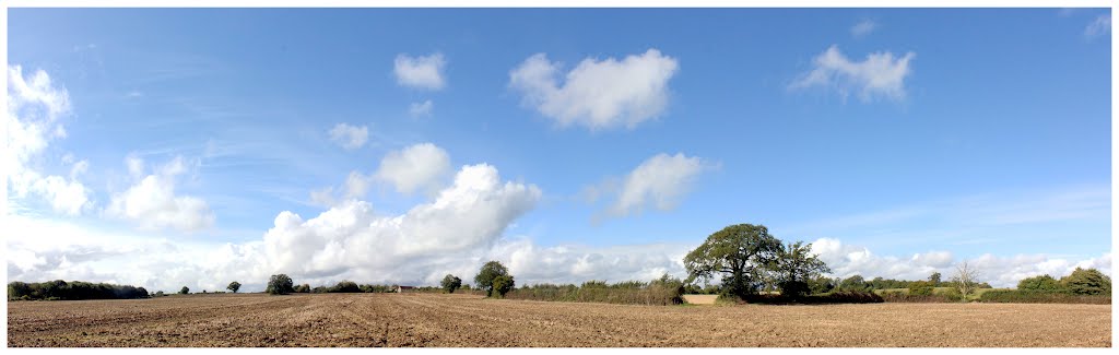 Wiltshire Panorama