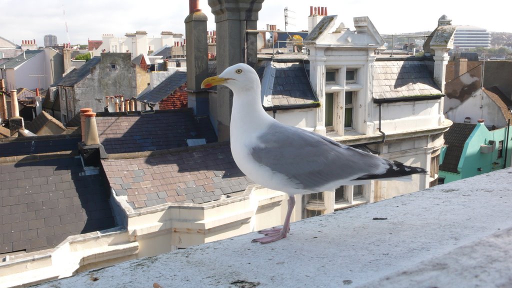 Looking out from Queens Hotel, Brighton