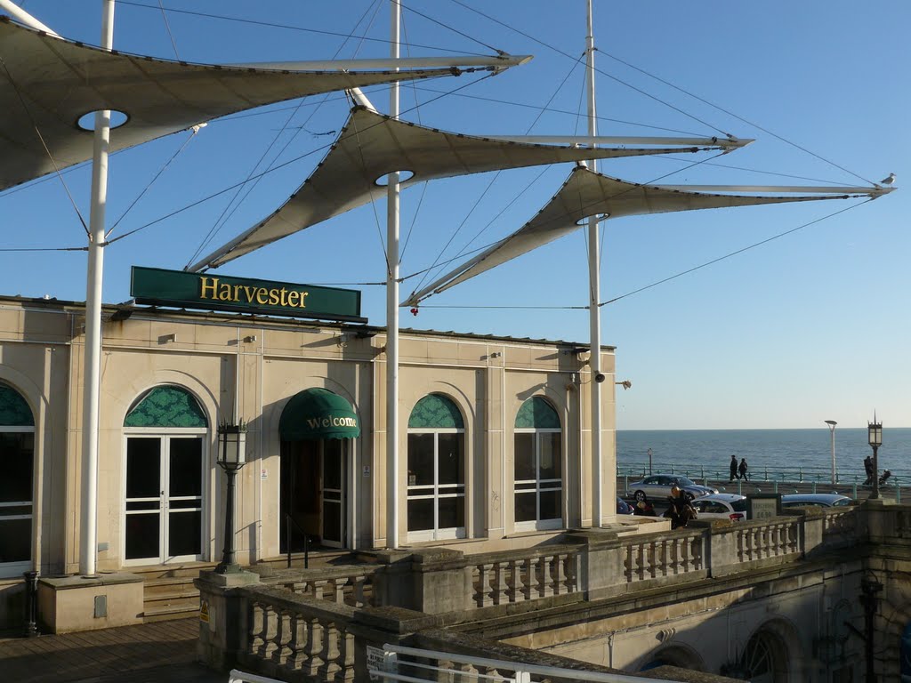 Sea Life Centre, Brighton