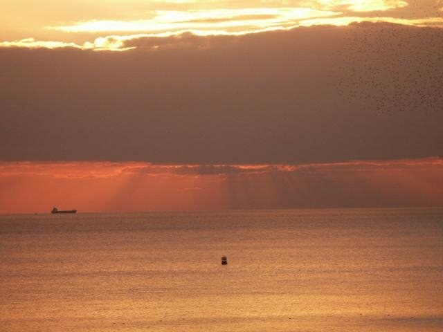 Brighton United Kingdom