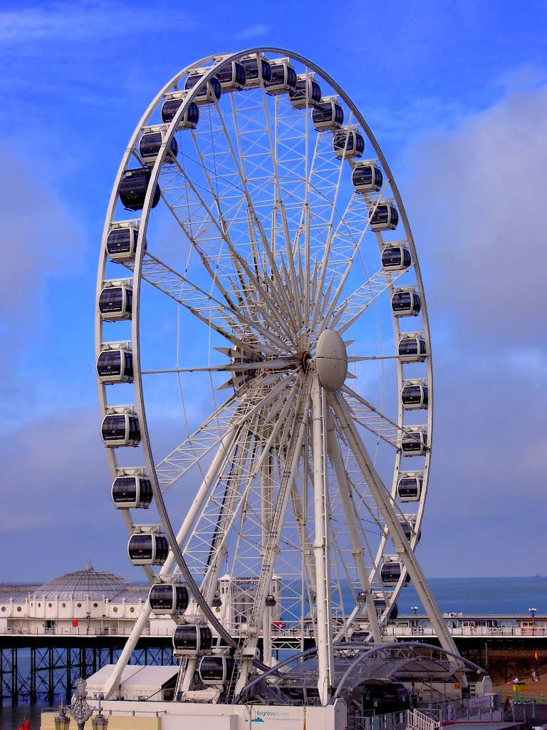 Brighton - eye