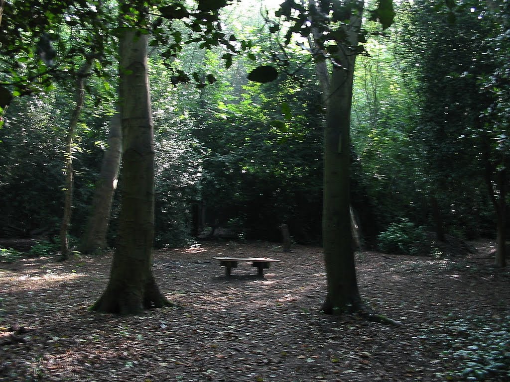 A place to rest in Holly Wood