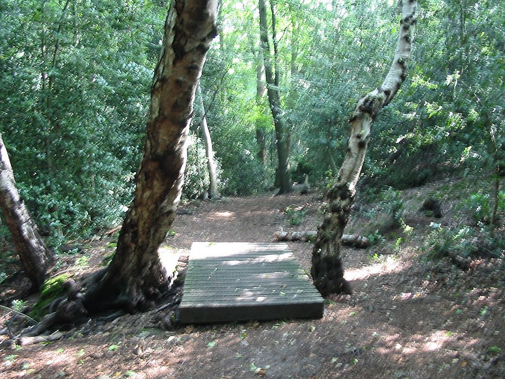 A slightly unnecessary bridge