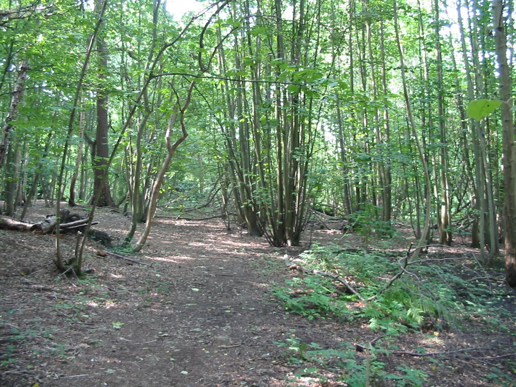 Bulphan