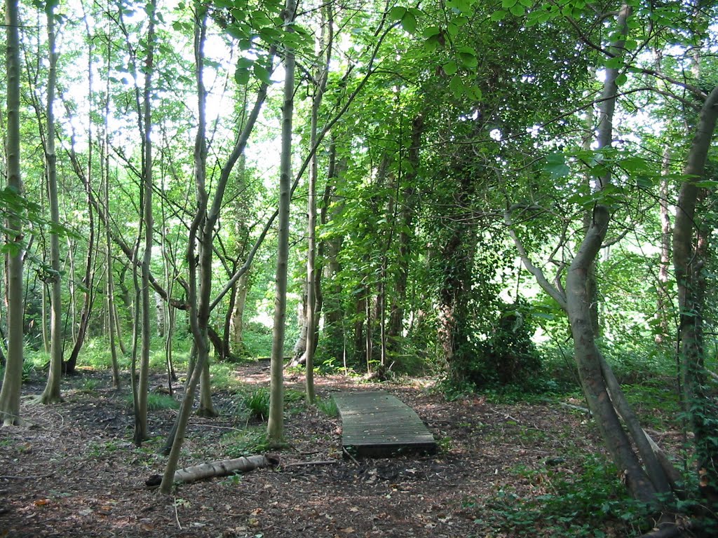 Clements Wood