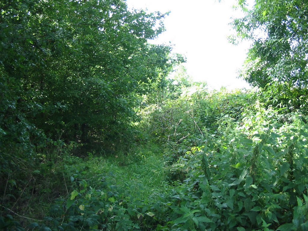 Warley Country Park