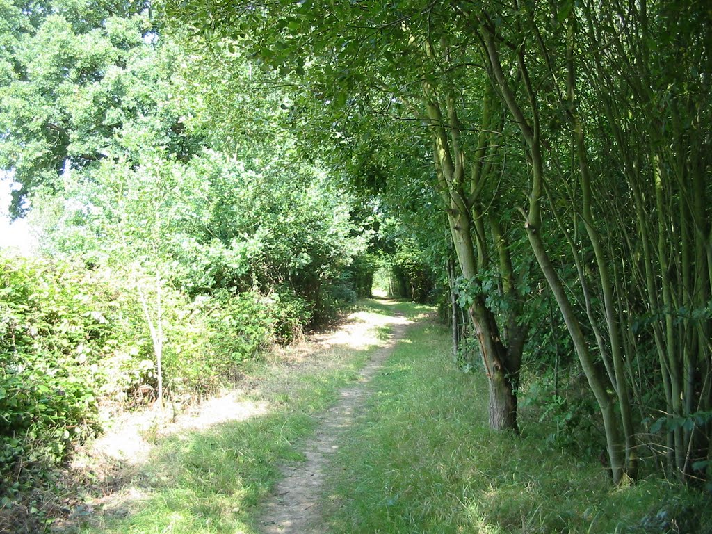 Path heading North
