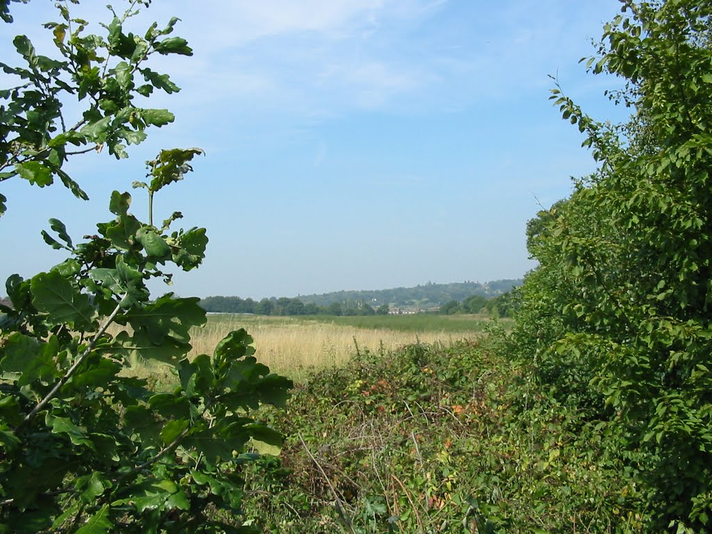 View from the path across the fields