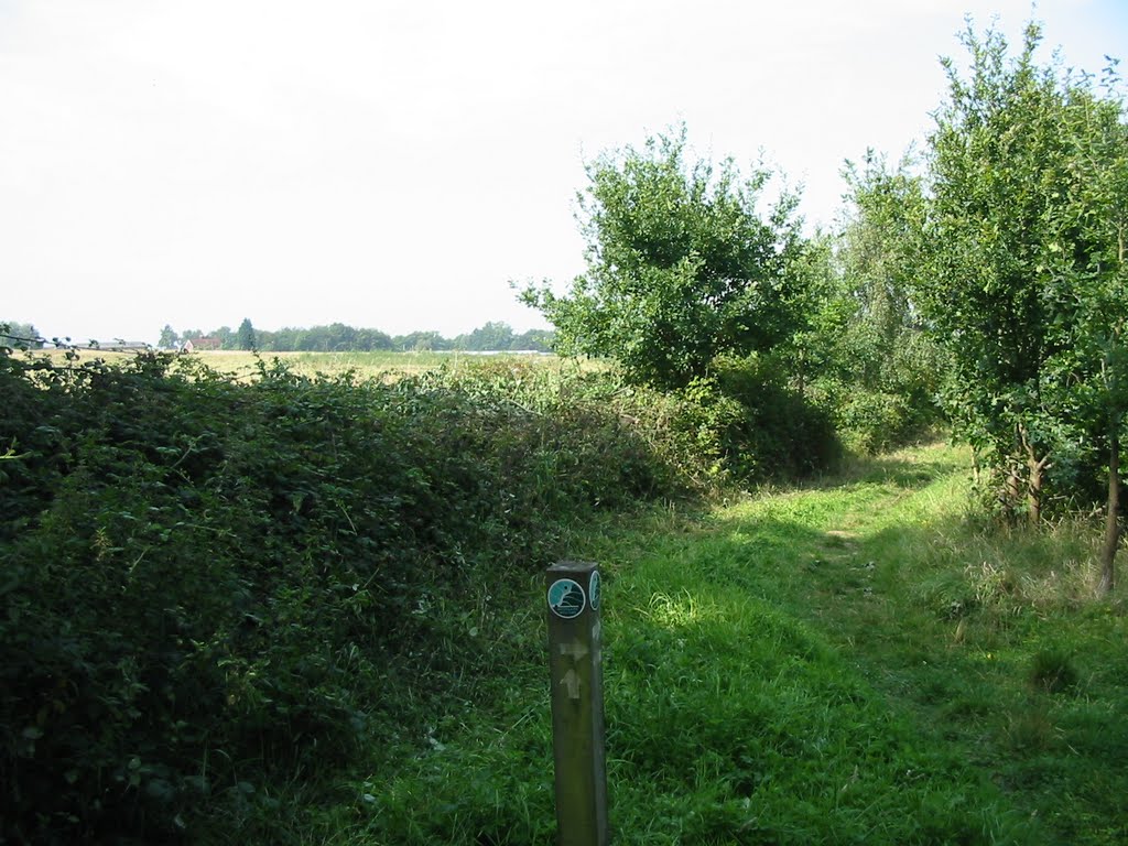 Path heading North
