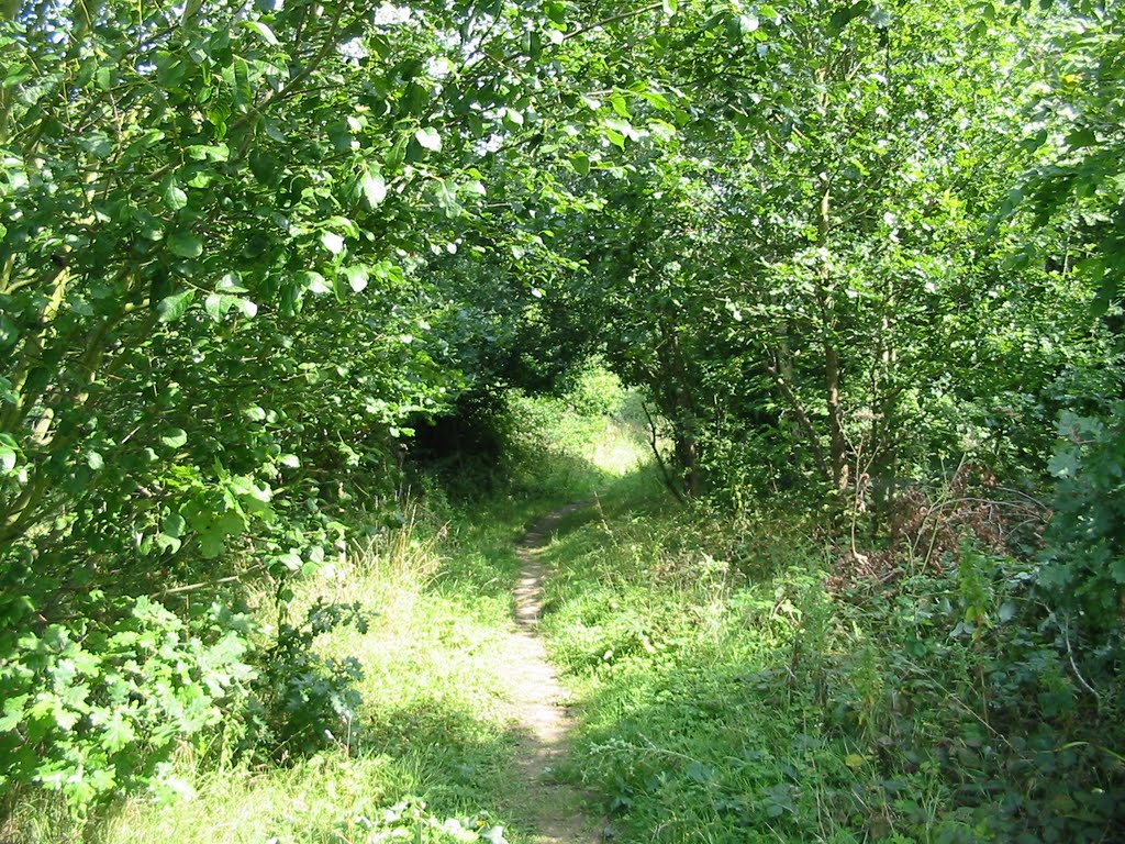 Path heading East