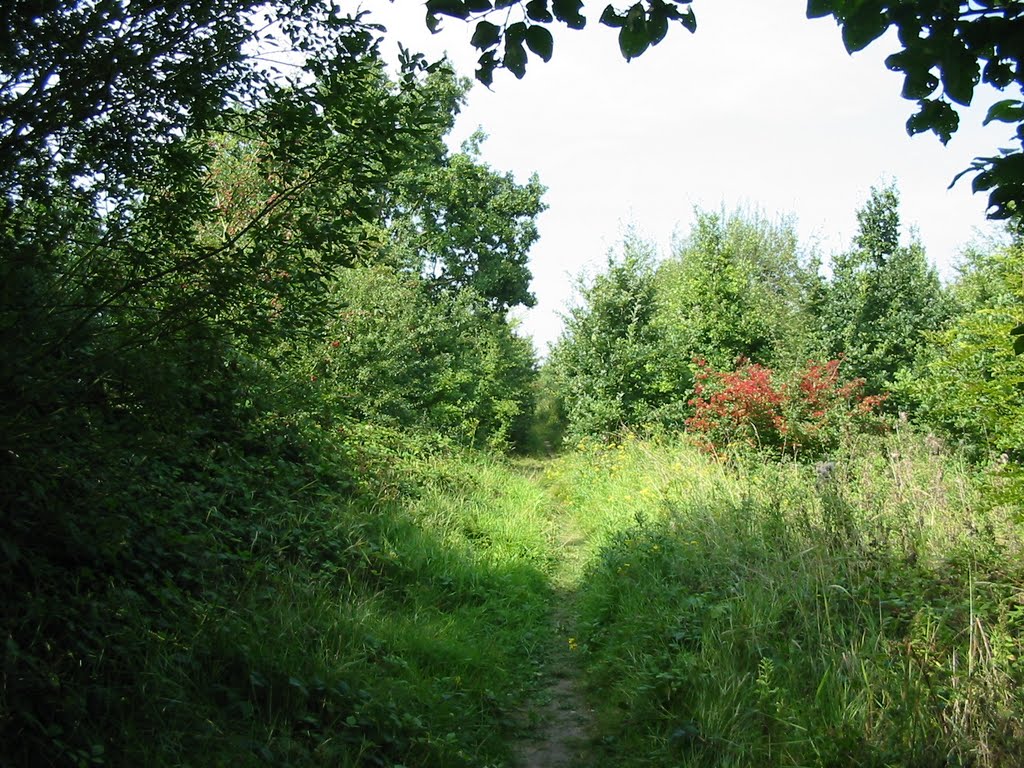 Path heading North East