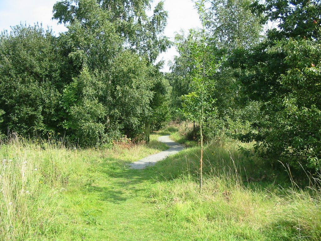 Path heading East