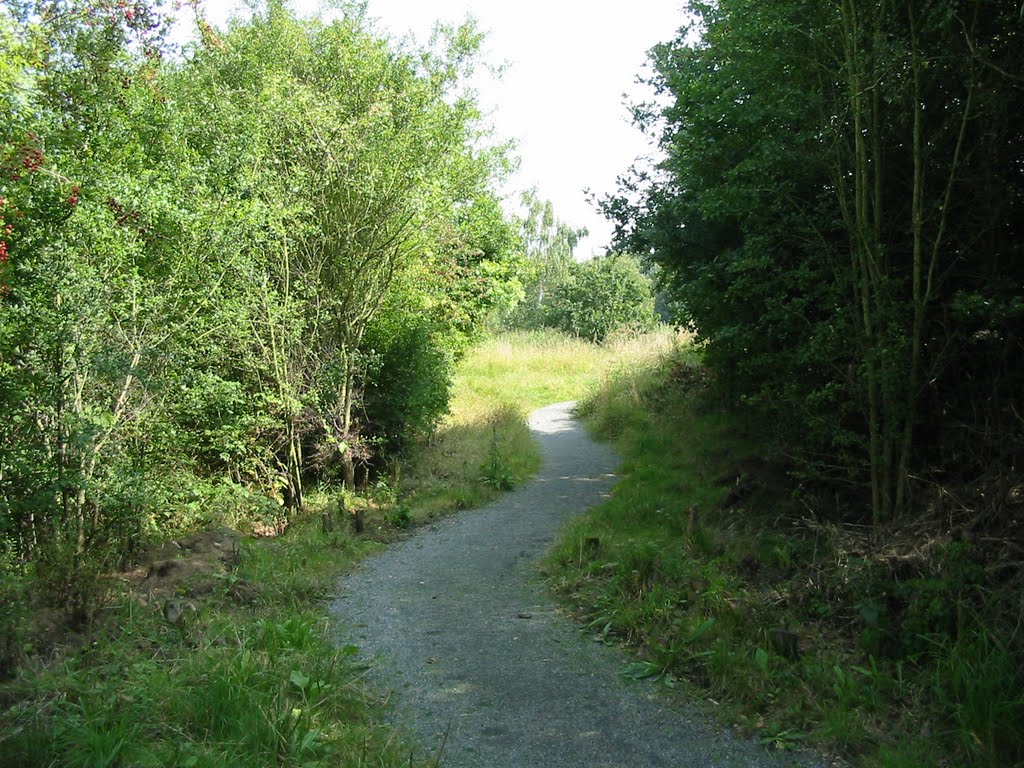 Path heading East