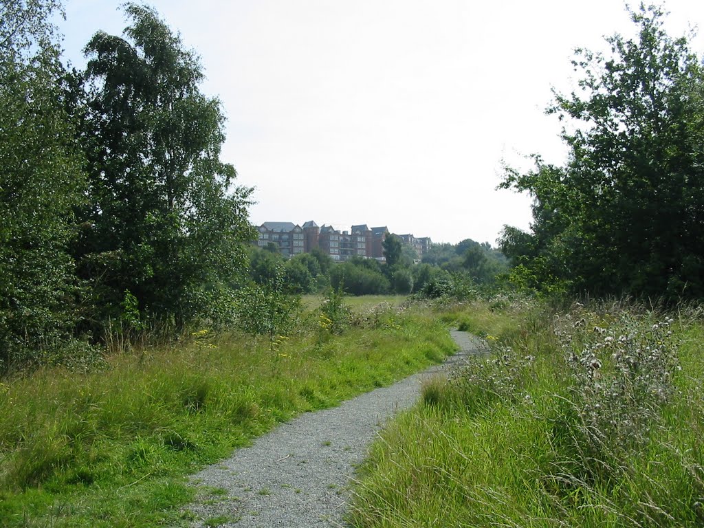 Path heading South