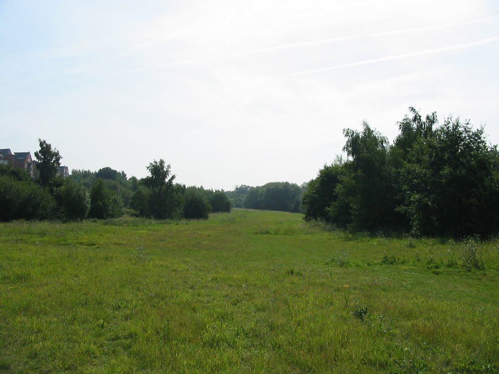 Looking South