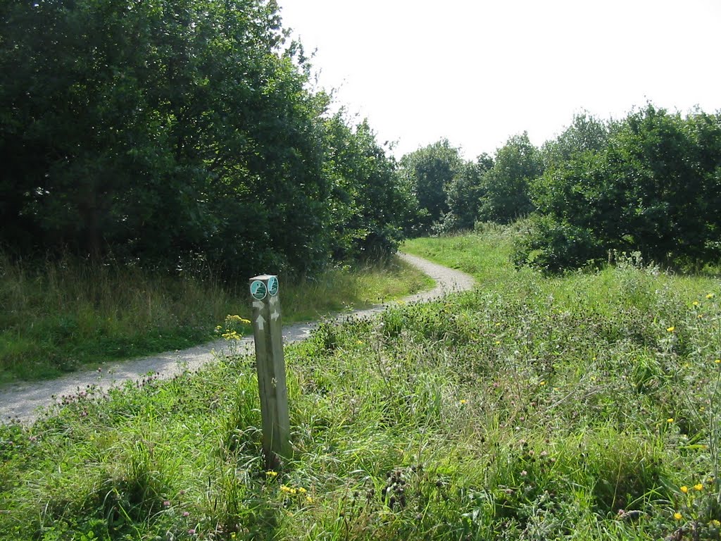 Path heading South
