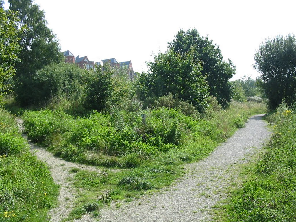 Path forks